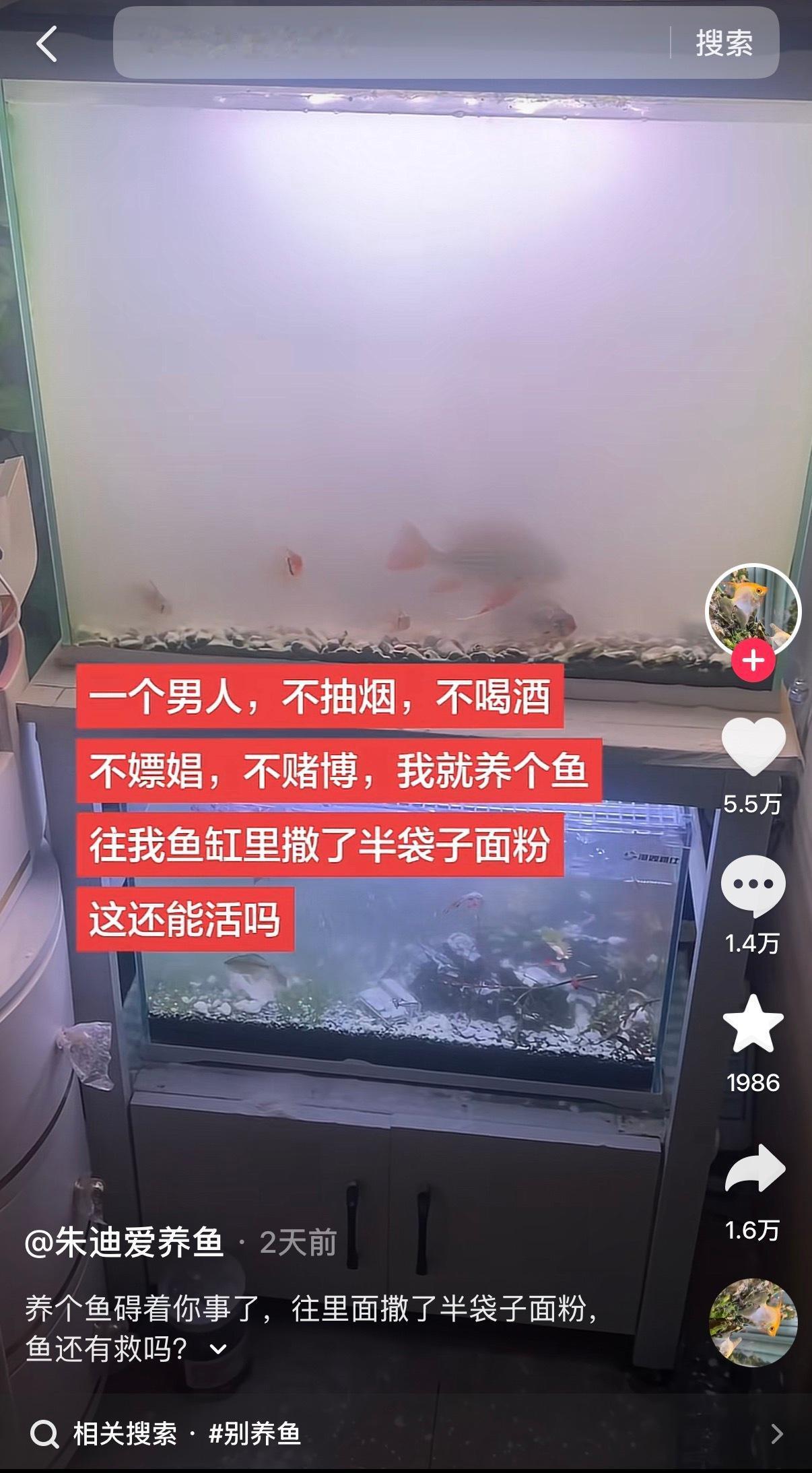 这个养鱼博主固然可怜，但是他的思维太落后时代了。什么叫“不抽烟，不喝酒，不赌博，