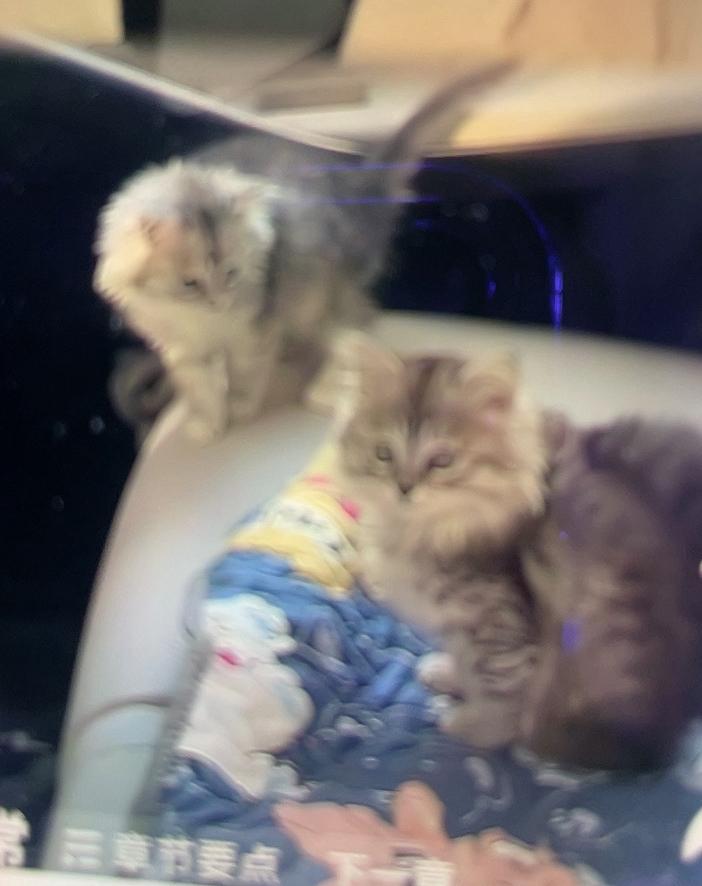 真的被这件事暖到了，大雪纷飞的现场一辆车安静地停在路边，车窗只留了一道小缝，暖