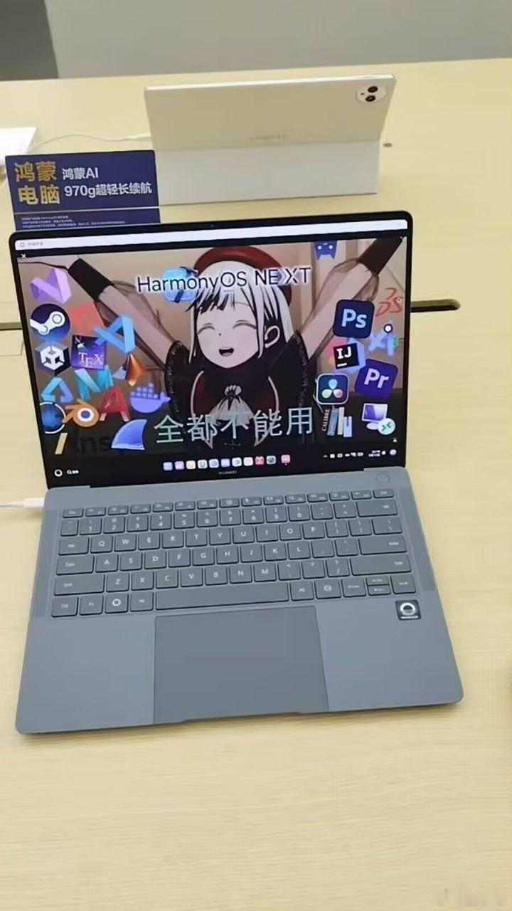 那买它干啥？交国产品牌支持税吗？​​​