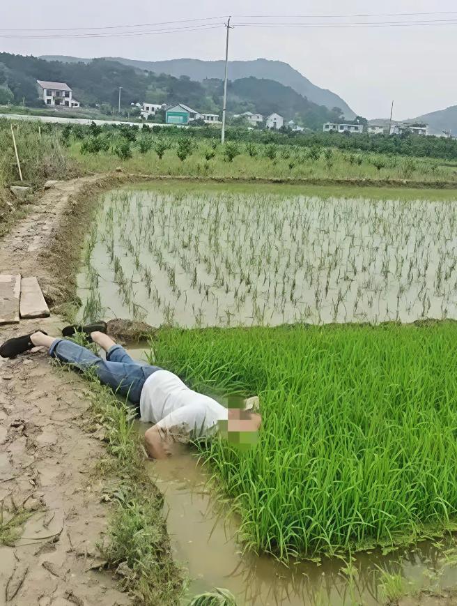 “并非谁死谁有理！”四川成都，一七旬大爷早起锻炼时，路过一片稻田，当他来到稻田边