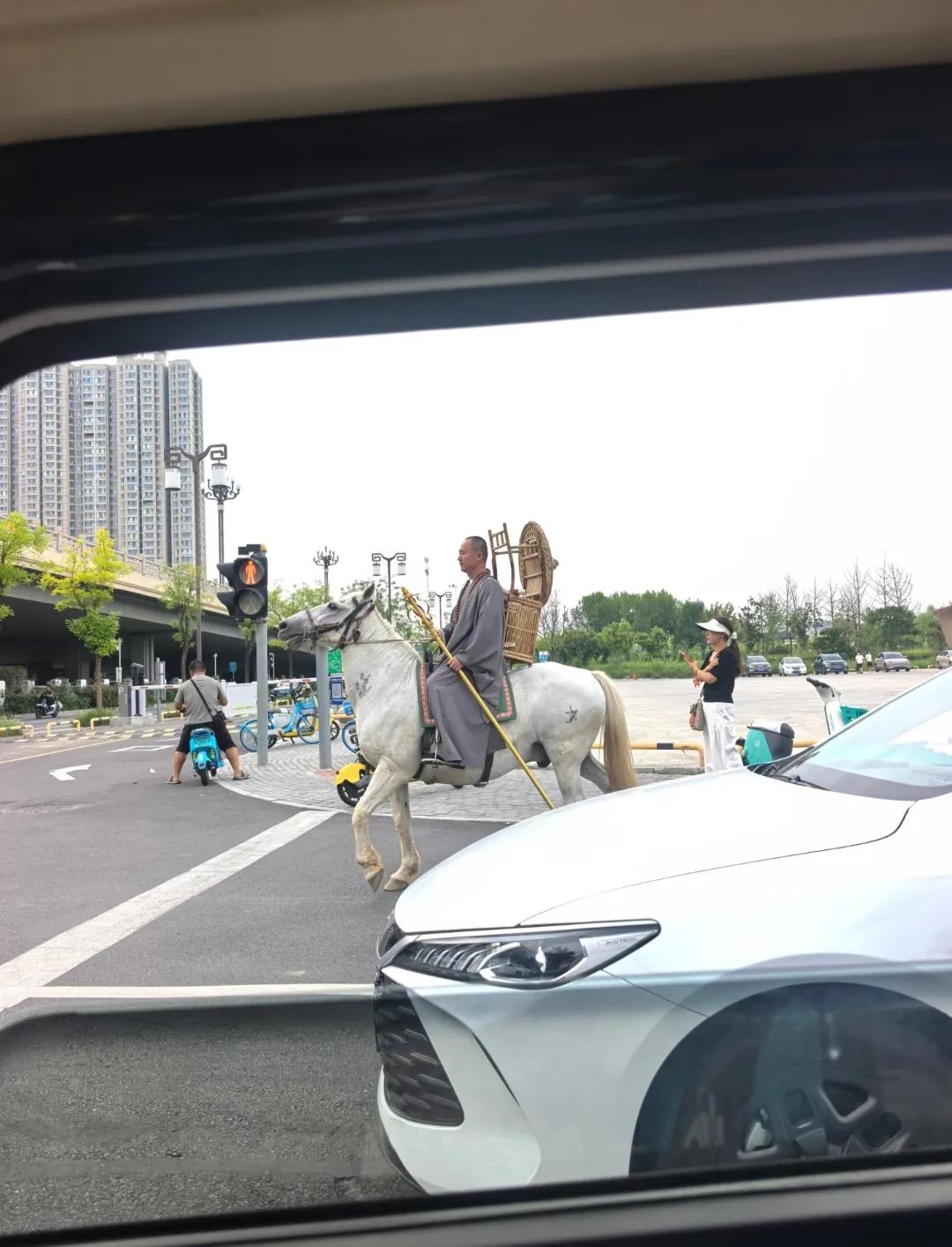 网友在洛阳街头拍到的，这是唐僧西天取经刚出发吗？[笑着哭]