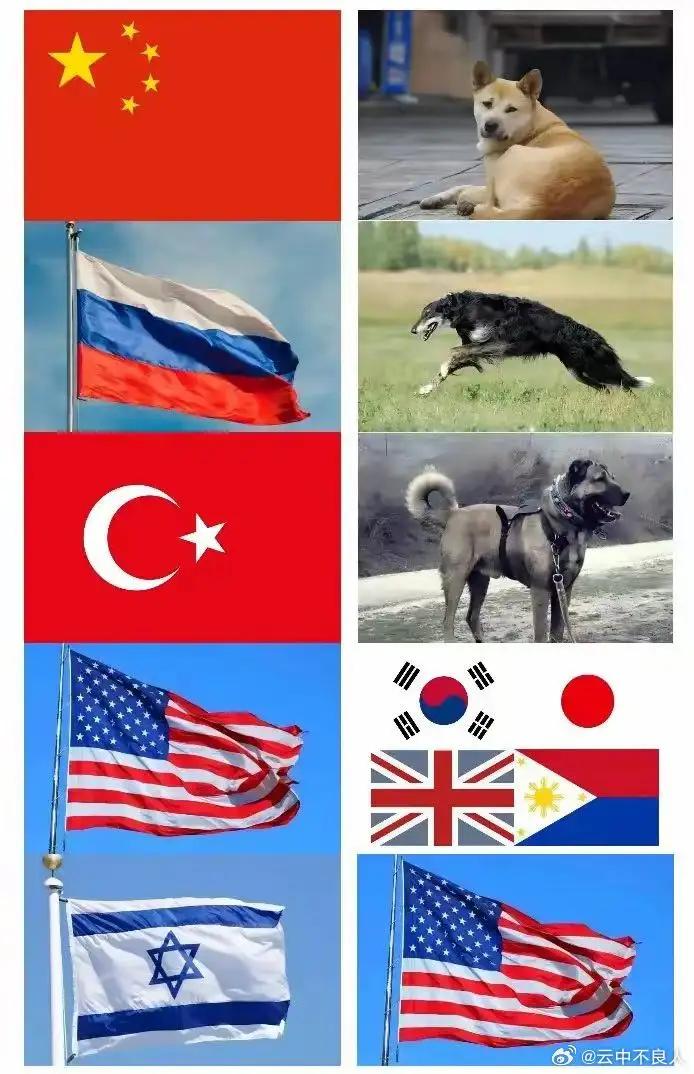 看到一幅图，你能联想到什么，有些不厚道的.憨笑了，笑！你笑！你准笑哈哈搞笑图得