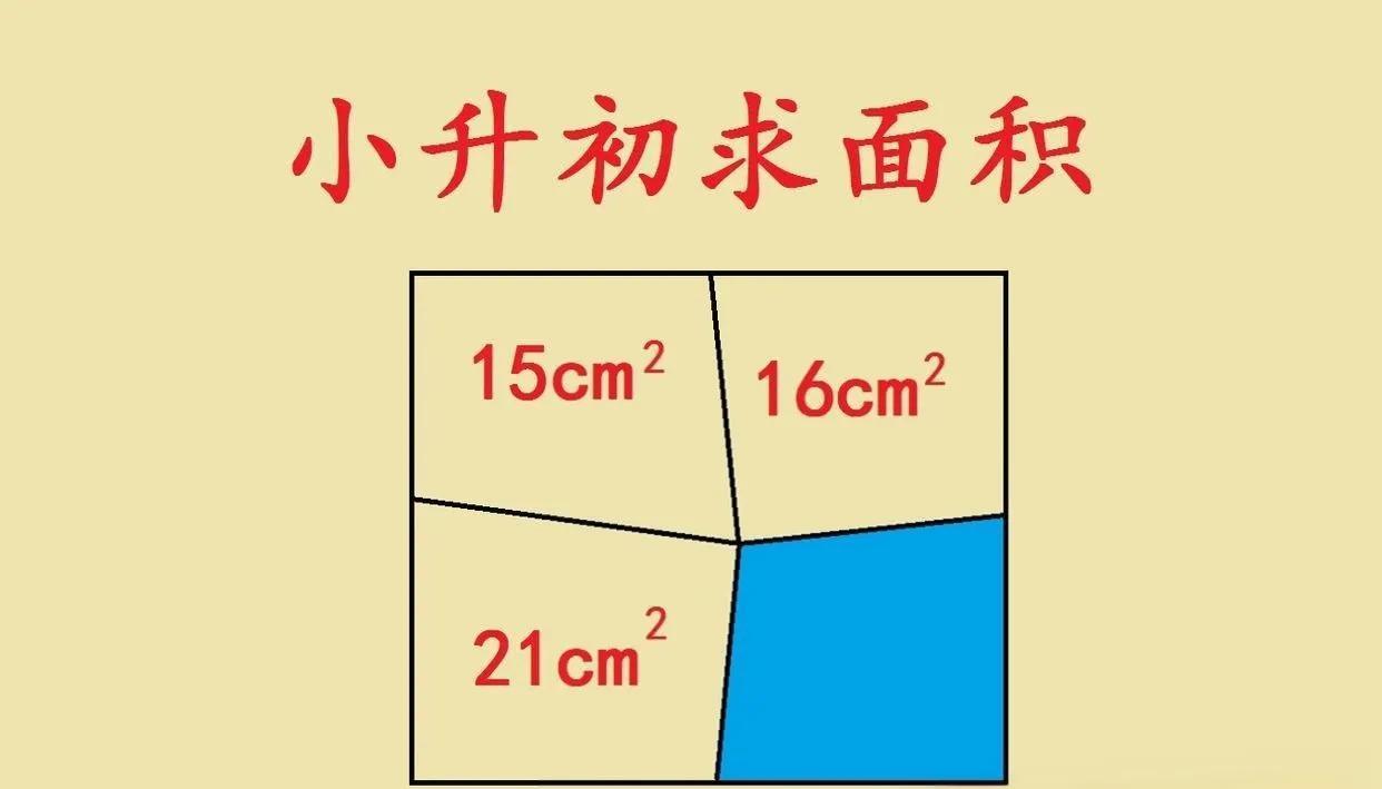 小升初几何题里，这种面积题可太考验孩子能力啦！就像这道，长方形内三个四边形面积分