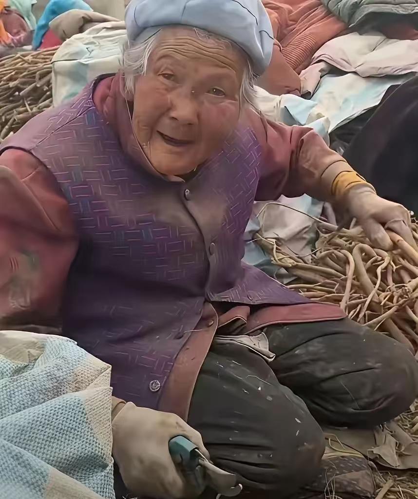 看哭了！一天80元，84岁奶奶跪在地里，剪黄芪挣钱！土和泥，满身都是！但凡儿女孝