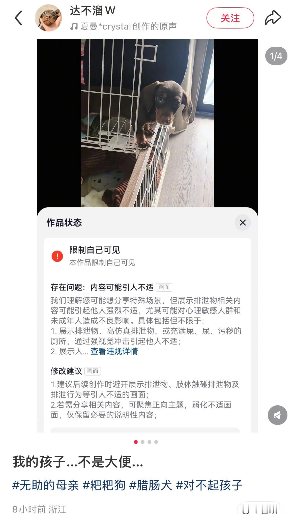 🆘好好笑…主人：这是我的狗系统：这是大便