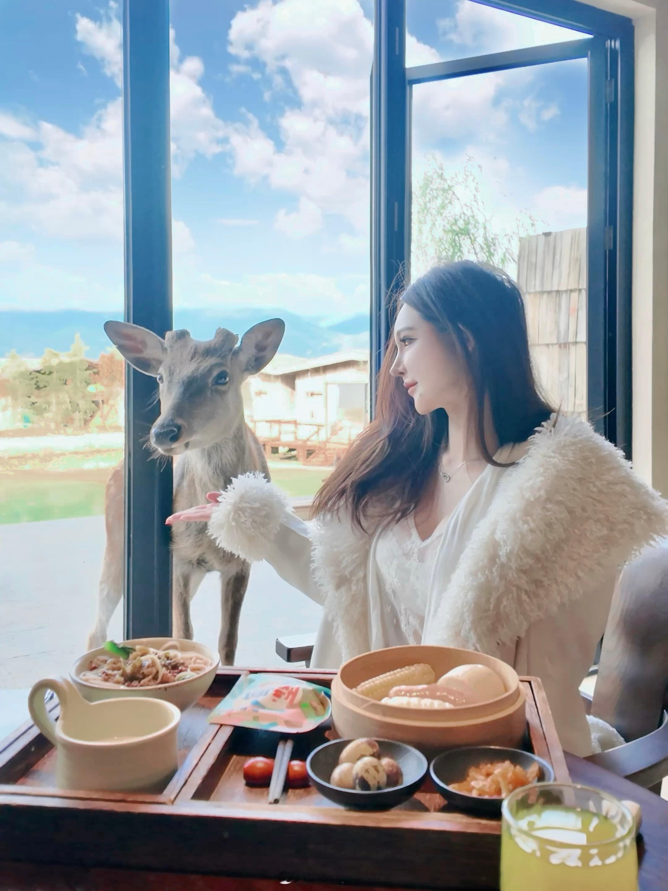 香格里拉这家牧场酒店我能住到天荒地老‼️羊驼陪躺🦙小鹿陪吃🦌治愈感拉满的一天