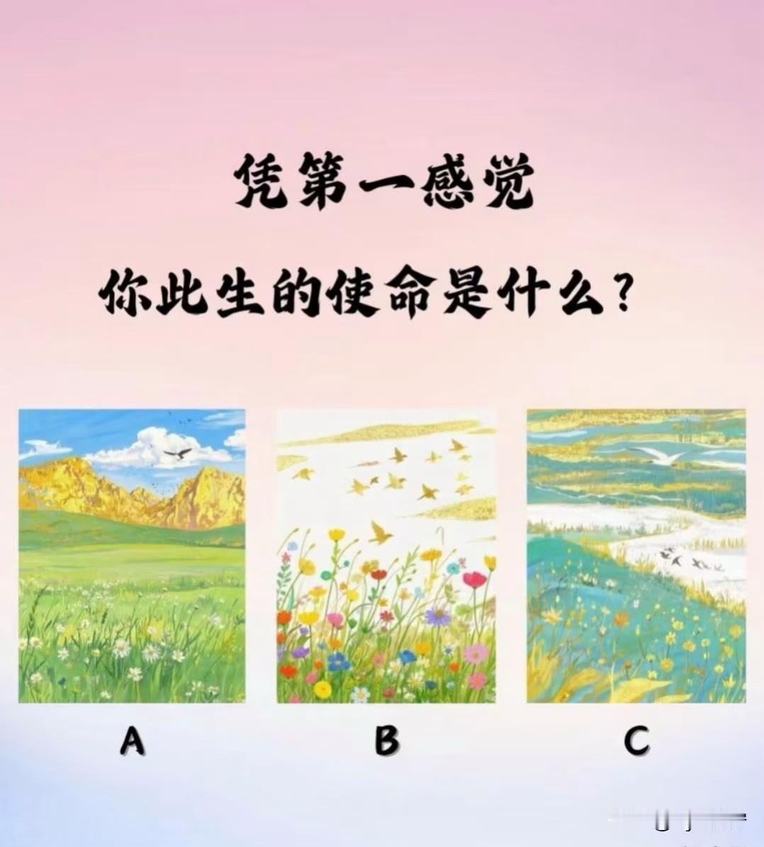 你此生的使命是什么?