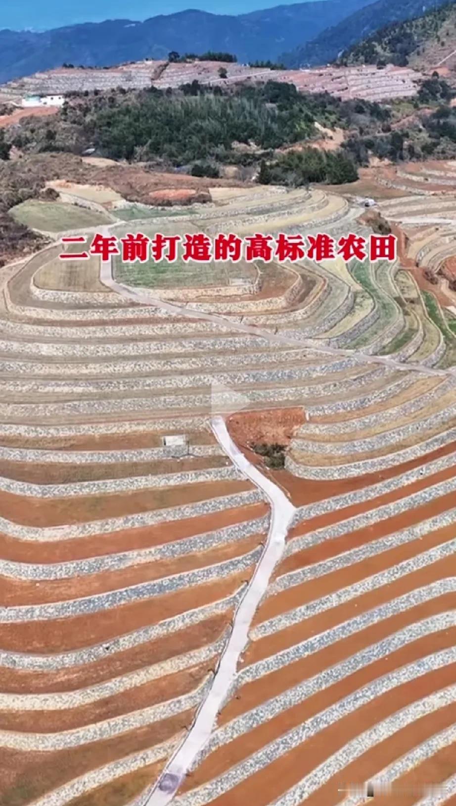 看到这一幕，我就问你这梯田漂亮不漂亮吧？有人说好，增加了可耕地。这工程干的漂亮，