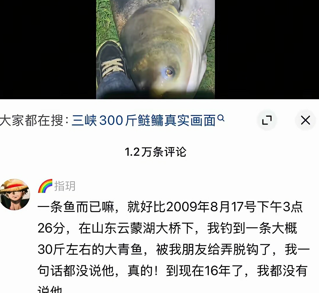 都十六年了鱼也该涨到百斤巨物了吧，网友还是忘不了它。