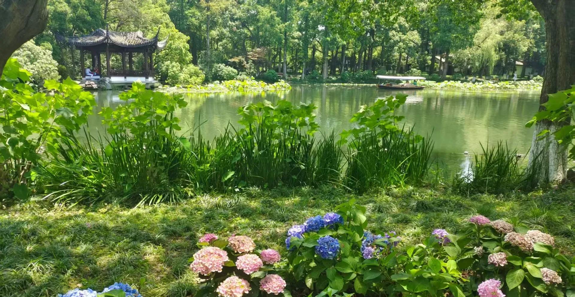 闺蜜去年重病手术，婆婆却没来看她，也不照顾。这突如其来的变故，彻底改变了这个