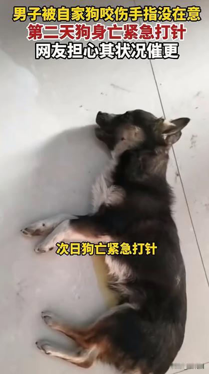 河南，一男子养了一条狗，一天晚上男子看见狗狗突然不对劲了，狗狗看上去很不舒服，于