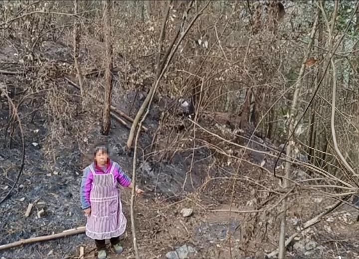 为什么说一个蠢人，要比一个坏人可怕一万倍呢？贵州有个大妈，在去年12月故意放火烧