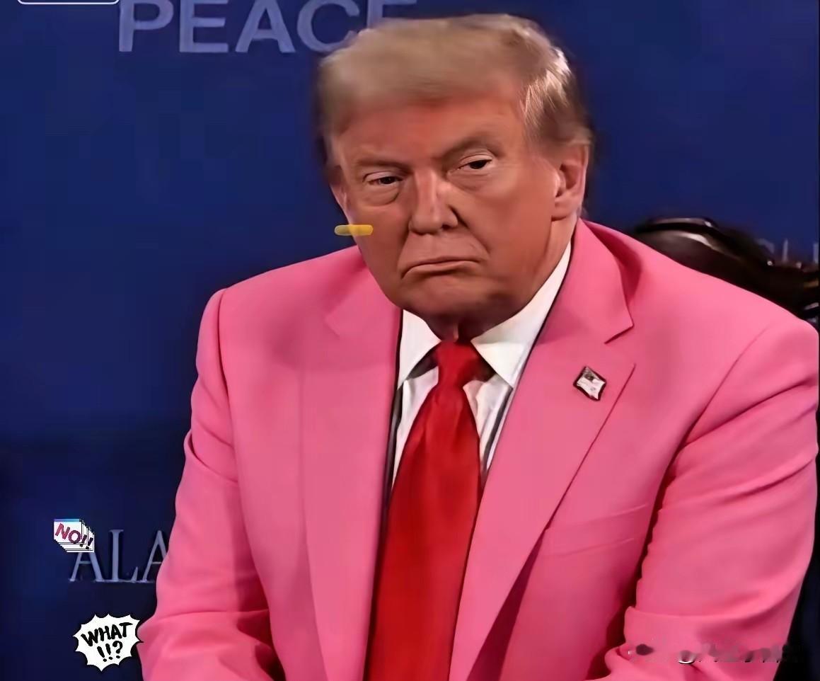 古特雷斯不参加，法国不参加，加拿大不参加，巴西不参加，中亚五国不参加…美国主导的