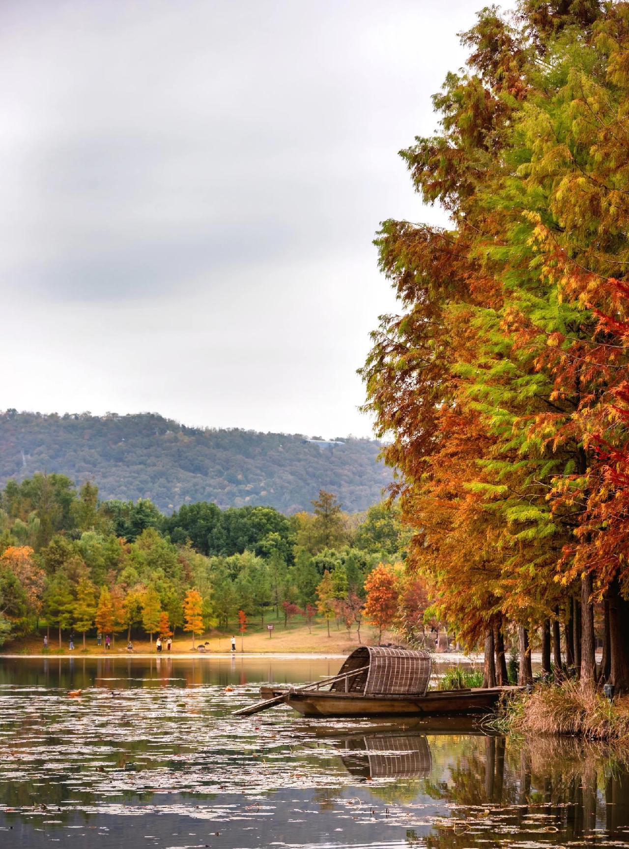 任何一个单位，都应让真正能做事的人占据绝对主导权，让敢于说真话的人处于合适的位置