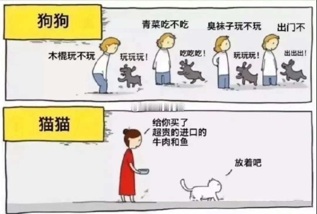 养猫和养狗的区别