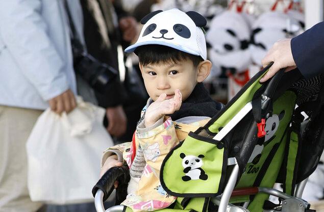 1月28日，大熊猫刚离开一天，日本就开始“全面唱衰”了。日本上野观光联盟名誉会长