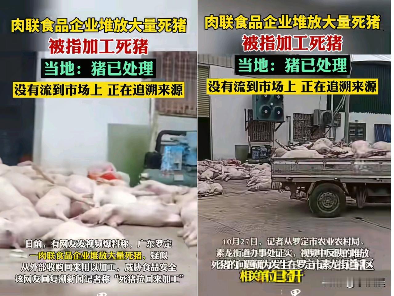 一觉醒来,完全没胃口了!先是酸菜加工池里抽烟吐痰,再到食品厂“死猪门”事