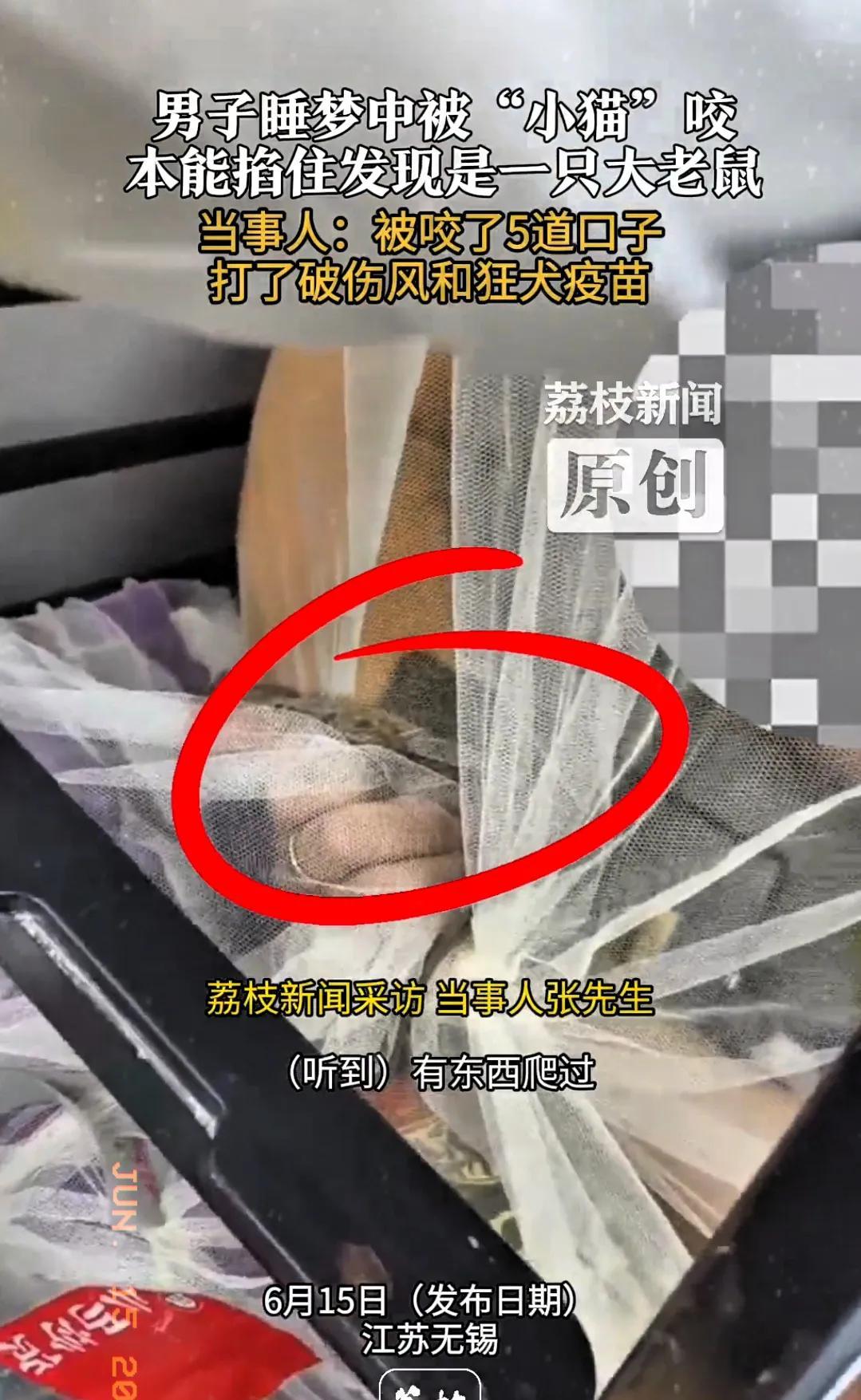 “太后怕了！”江苏无锡一位男士夜里睡得正香，突然感觉身边有什么东西在蠕动，毛茸茸