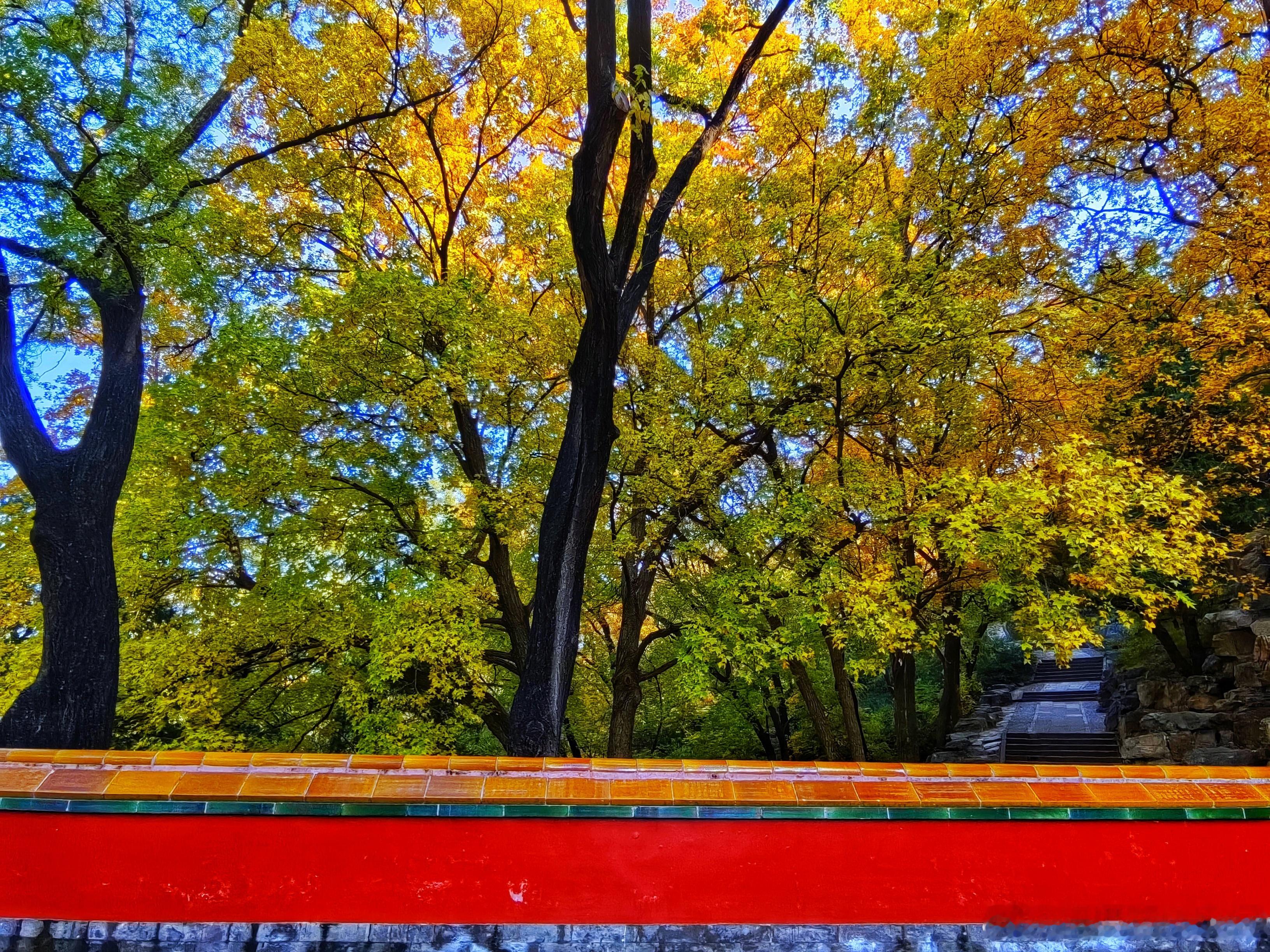 北京颐和园四大部洲秋色2025.11.4北京秋日美景加载中摄影 ​​​