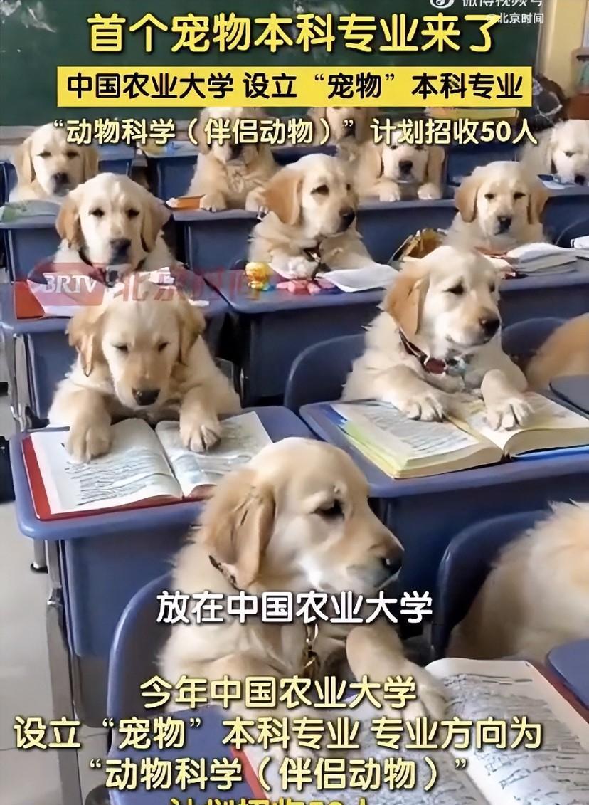 “宠物学专业”到底是个什么专业？中国农大在今年开设的“动物科学专业类”有一个“