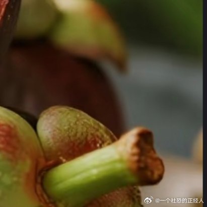 微公益种植想自己在家种山竹，主要有两种方法：用种子种和买现成的树苗。两种方法差别