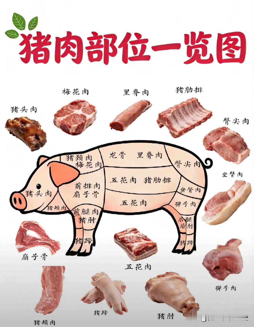 终于知道这头肥猪的梅花肉在它的哪一个部位了，在菜市场买菜就可以看肉知道部位了