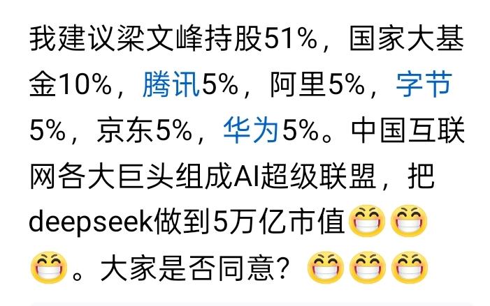 附图是一个网友对DeepSeek融资的设计。对于曾经引发全球Al海啸的纯国民高新