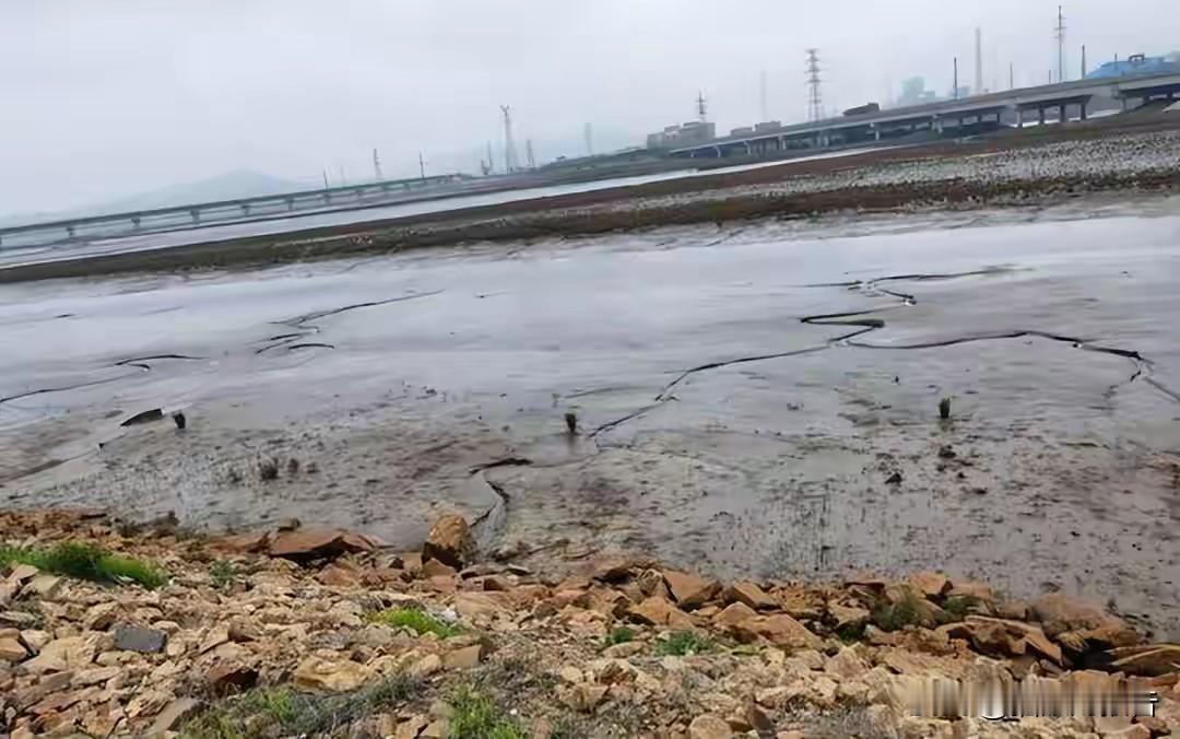 德国人去求伊朗了。你没看错，就是那个欧洲工业的火车头，绕开美国，单独给德黑兰发了