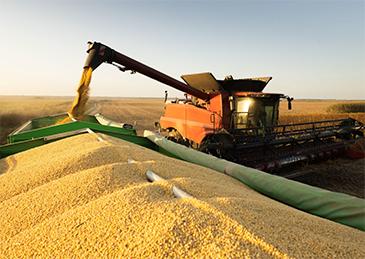 中国又开始进口美国大豆，对高市早苗意味着什么？据报道，2025年11月中旬，中