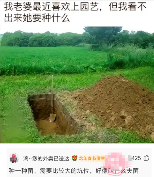 好像叫什么夫菌