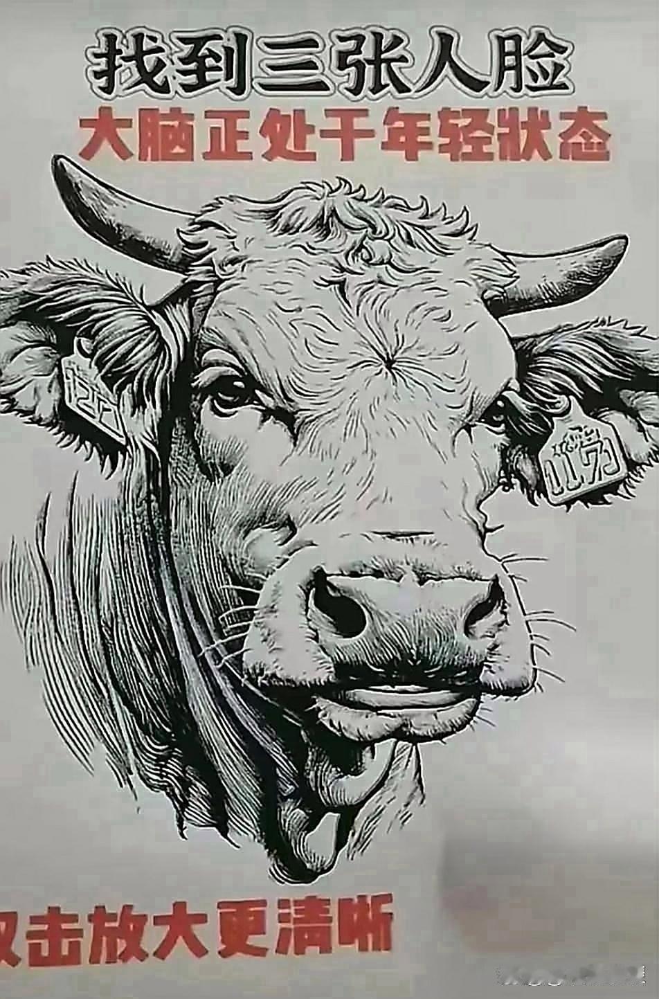 阿尔兹海默症小测试来啦！图里藏3张人脸，全找到就是“一等一天才”！