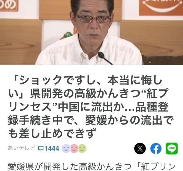 日方要求中方停种红公主柑橘，将赴华收集完整证据。2026年6月22日，爱媛县知事