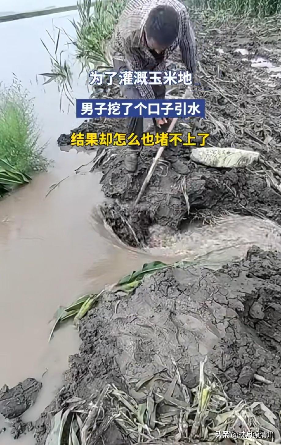 人家估计本来就是在排水。