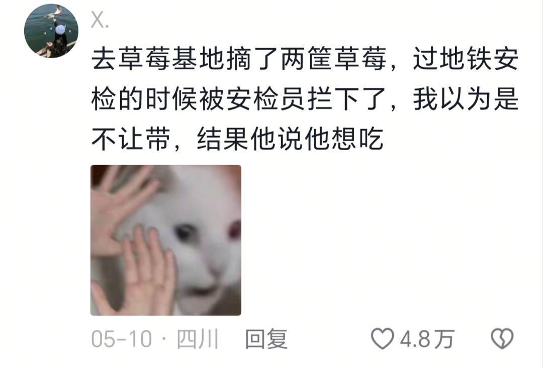 有没有川渝人民出来解释一下，真的这么松弛吗？
