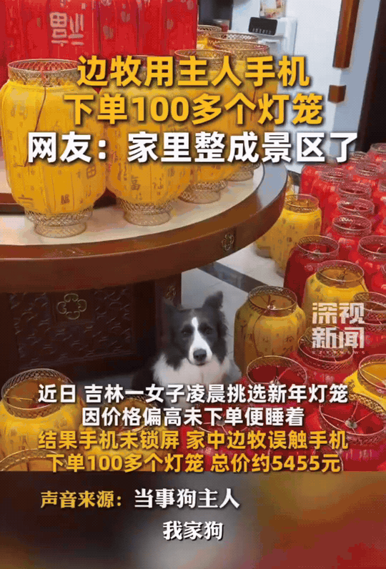 吉林，女子想给家里买几个灯笼装饰院子，但是因为觉得价格贵，女子就放弃了。没想到过