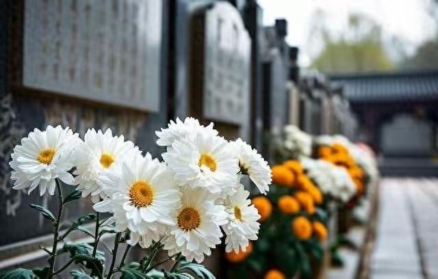 “火化要交空调费？”丧夫丧子阿姨被开18万账单，殡仪馆一句话全网炸锅01先别