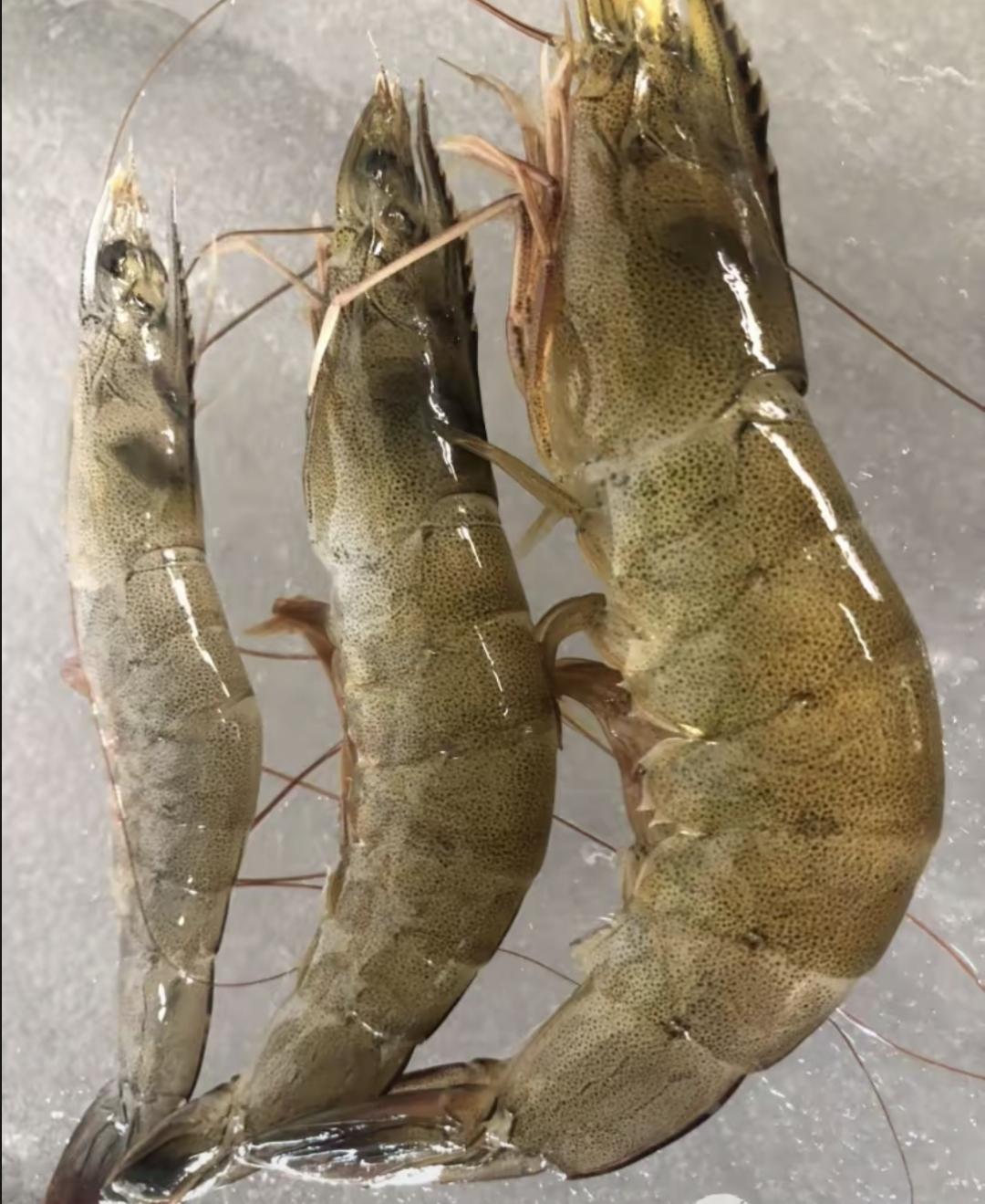 今天在超市，看见一个年轻妈妈买了三只基围虾。结账的时候她嘀咕了一句：“三只虾就五