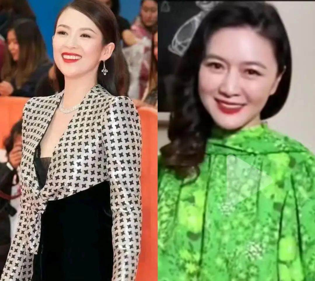 近期发觉好多人说女演员田海蓉和国际巨星章子怡长的像，以前大家肯定都会觉得章子怡拍