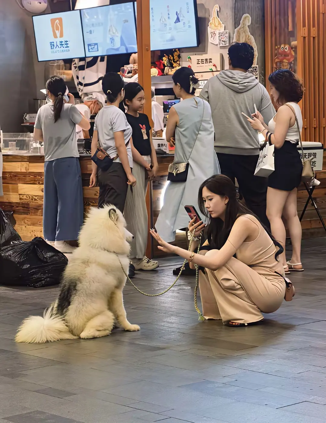 这是什么品种狗？有人认识吗？