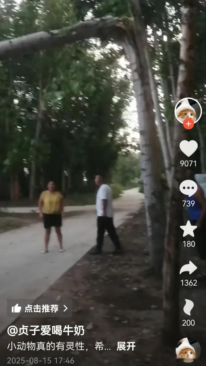 吉林一个14岁的女孩发视频说：我家狗狂叫不止，突然就跟发了疯似的，忽然这树就砸下