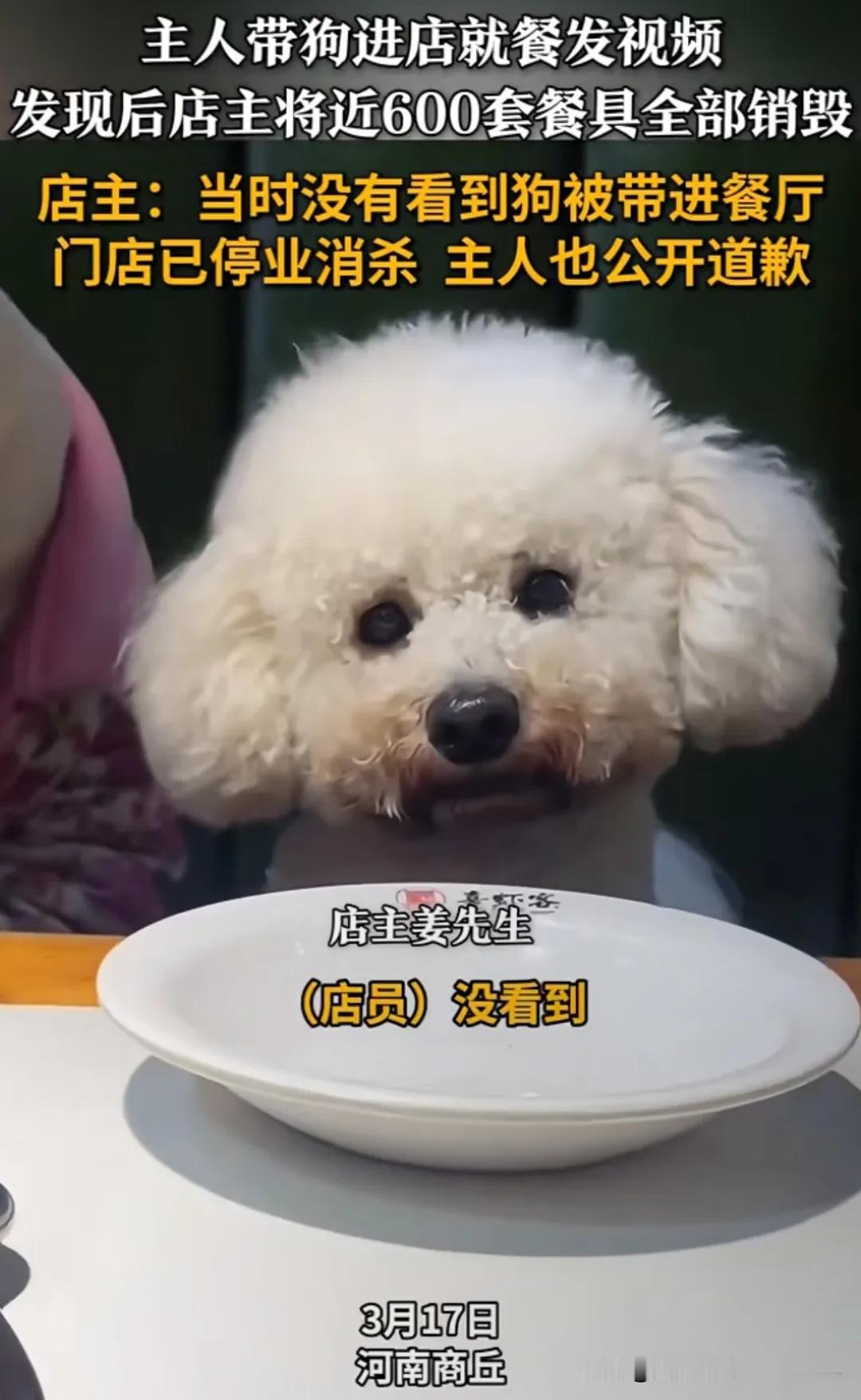 “坑哭老板娘！”河南商丘，一顾客带狗进入餐厅，并拍摄狗上桌视频上传网络。结果导致