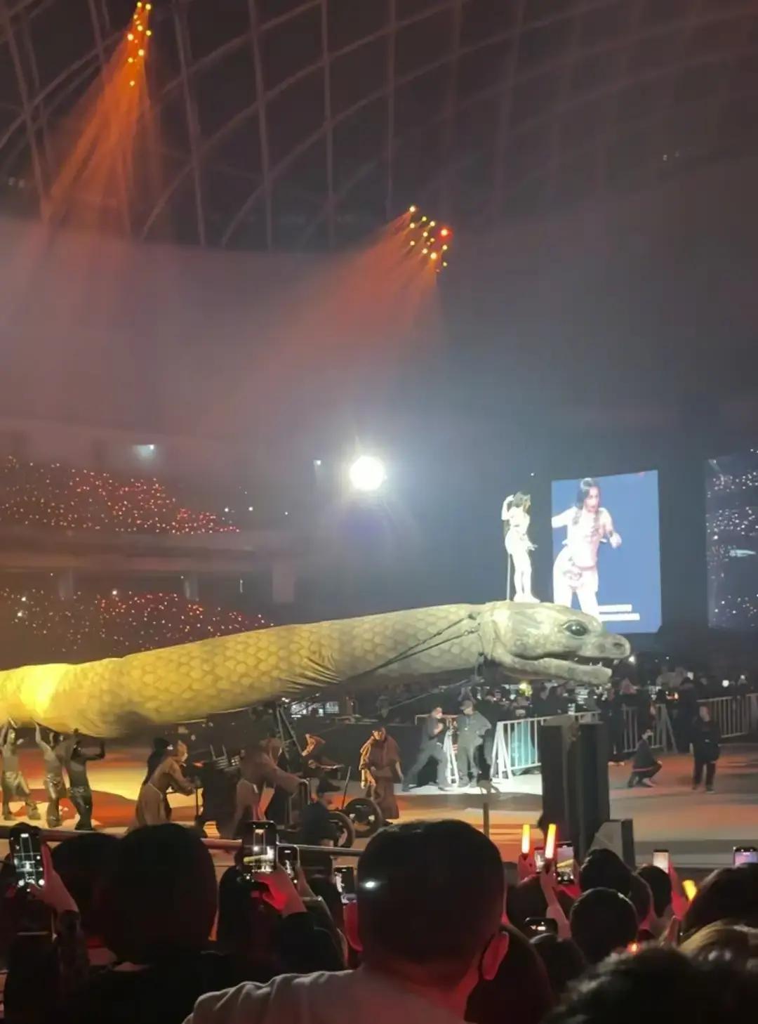踩蛇舞台吓哭前排女孩蔡依林把一条十米巨蟒搬进演唱会，灯一亮，前排小女生当场