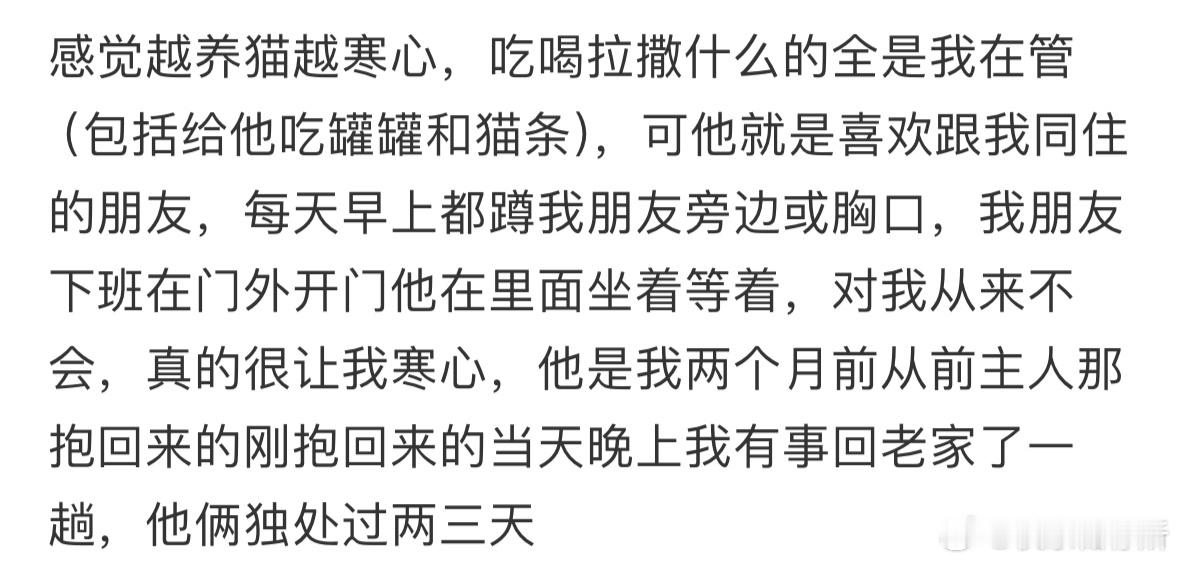 感觉越养猫越寒心​​​
