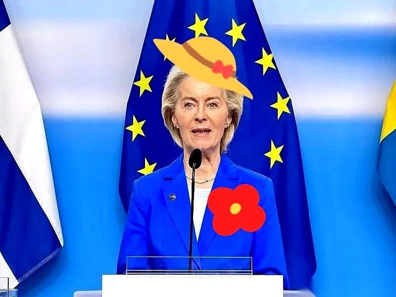 欧盟委员会主席冯德莱恩，当着一屋子美国国会议员的面，话筒往前一推，声音不大，但全