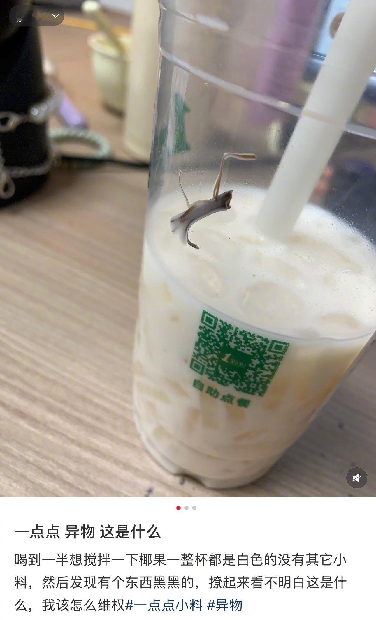 真材实料被人当成异物的茶叶梗：我恨你