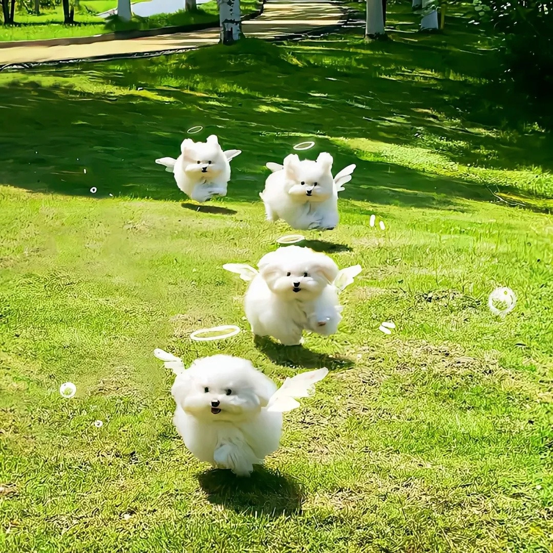 𝗦𝗵𝗮𝗿𝗲|朋友圈背景图