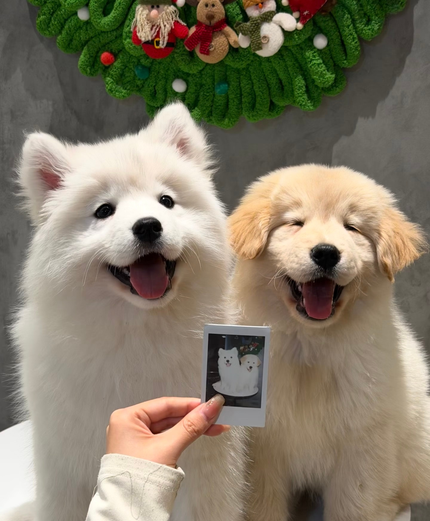 啊！是线条小狗！