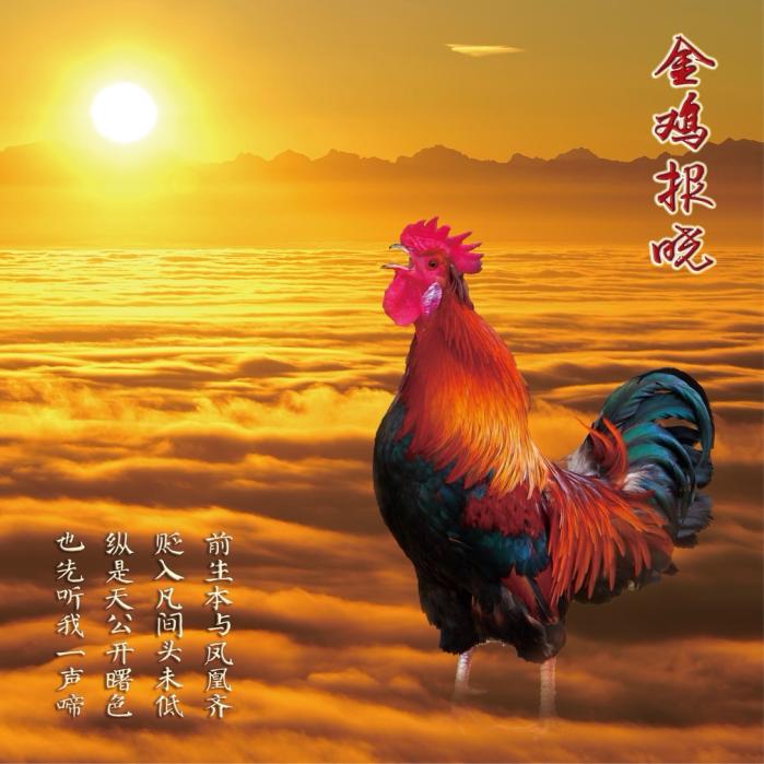 新一周6月29至7月6日生肖鸡，鼠的运势情况分析、生肖鸡（次吉，贵人运不错）