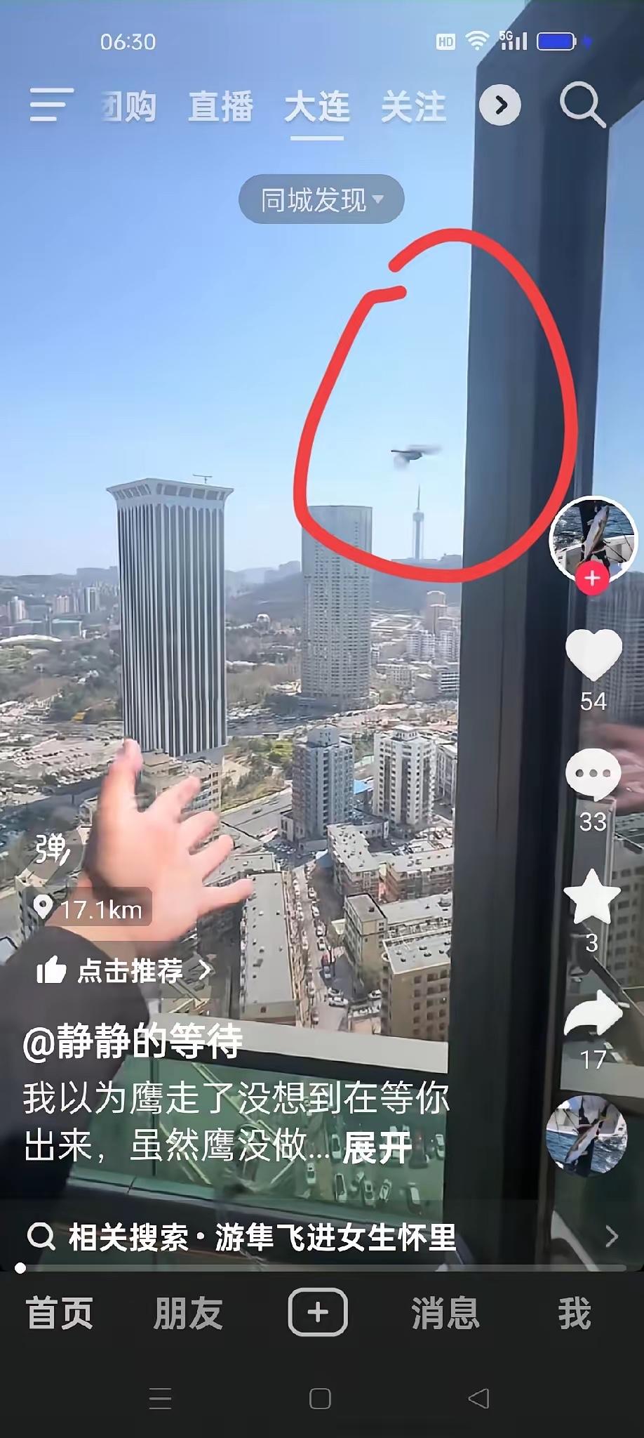 小鸟被隼追杀飞进大连裕景大厦34层楼办公室紧急避难，市民以为隼飞走了，送小鸟飞出