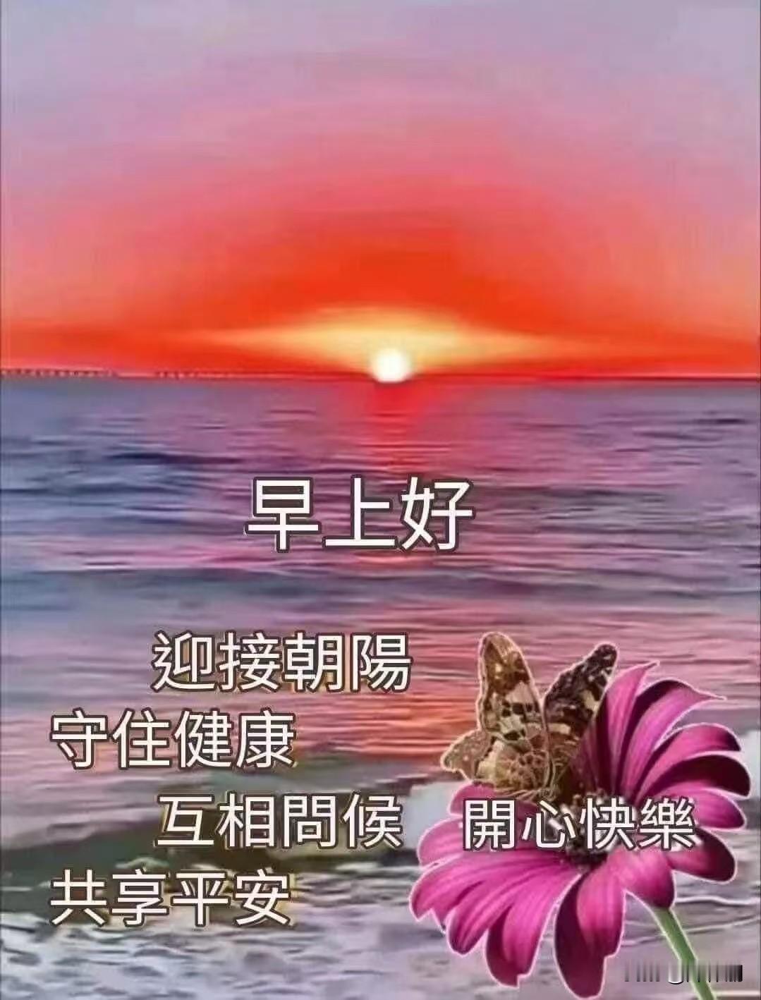 善待自己，非是放纵，而是温柔接纳。累了便歇，痛了就哭，莫苛责完美。晨起对镜微笑，